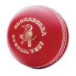 mostbet-shop-cricket-ball